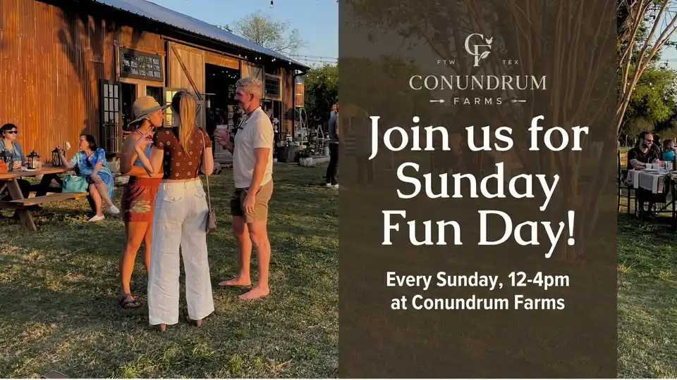 Sunday Fun Day