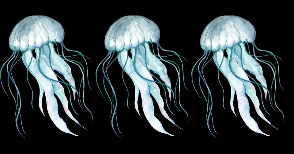 Lantern Making Workshop - Lantern Jellyfish 2026