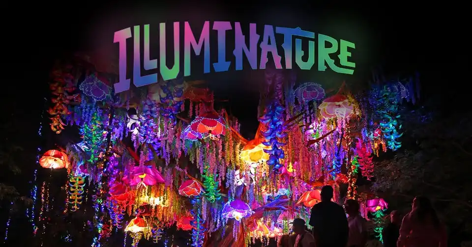 Illuminature