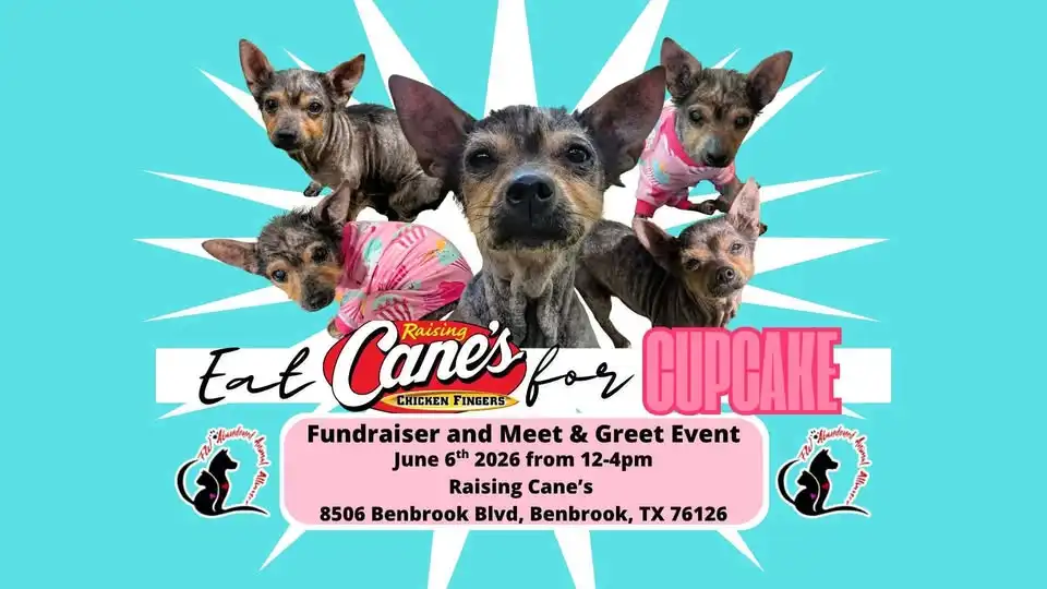 Eat Cane’s for Cupcake